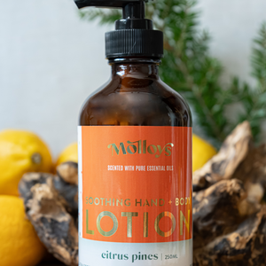 Hand & Body Lotion: Citrus Pines