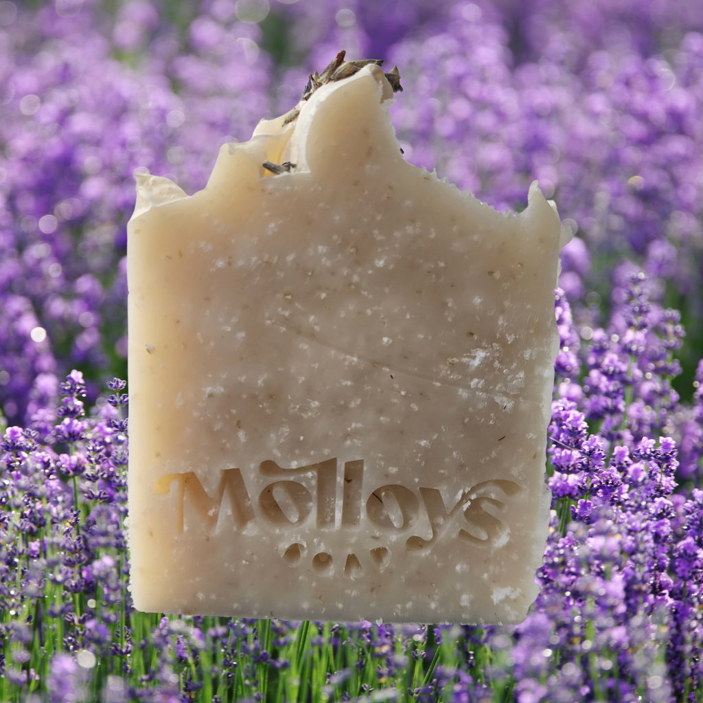 Soap Bar: Lavender, Oat & Dead Sea Salt