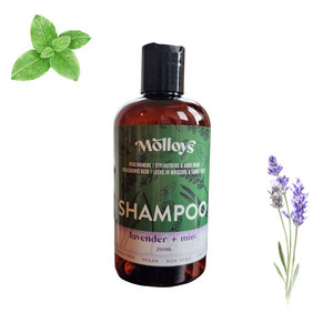Shampoo: Lavender + Mint