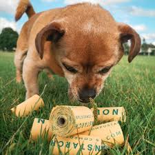 Compostable Dog Poop Bags