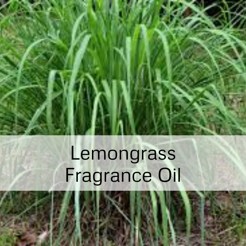 Lemongrass Fragrance Oil