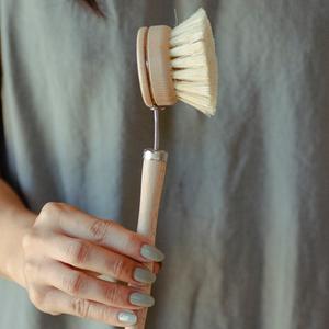 Dish Washing Brush (w/ replaceable head)