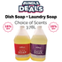 Dish Soap + Laundry Soap (3.78L)