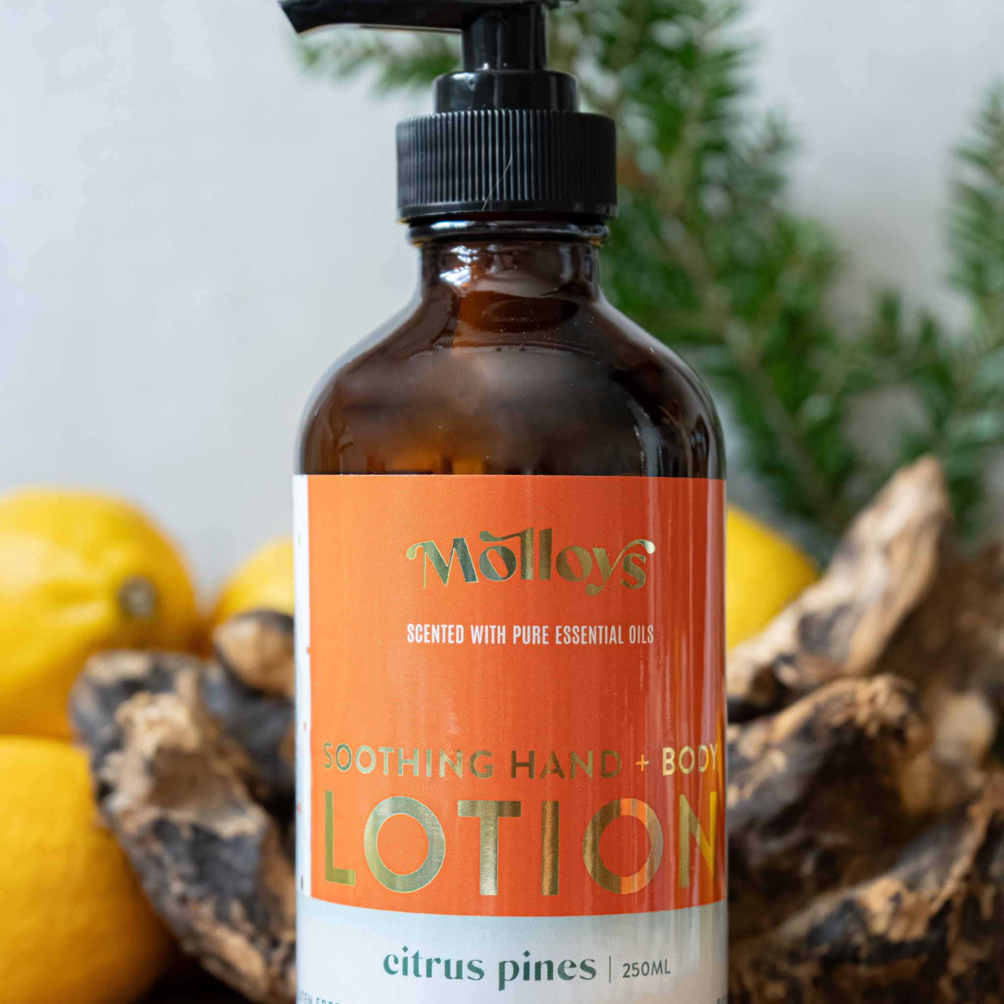 Hand & Body Lotion: Citrus Pines