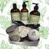Magnificent Mint Gift Box