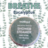 Shower Steamers