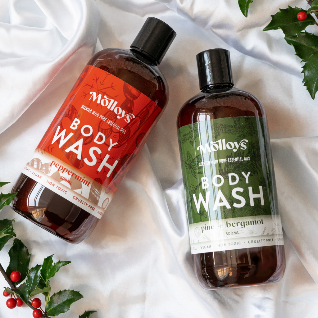 Holiday Body Wash (500ml)