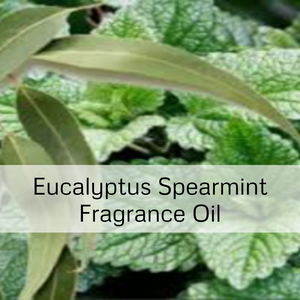 Eucalyptus Spearmint Fragrance Oil