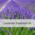 Lavender Essential Oil