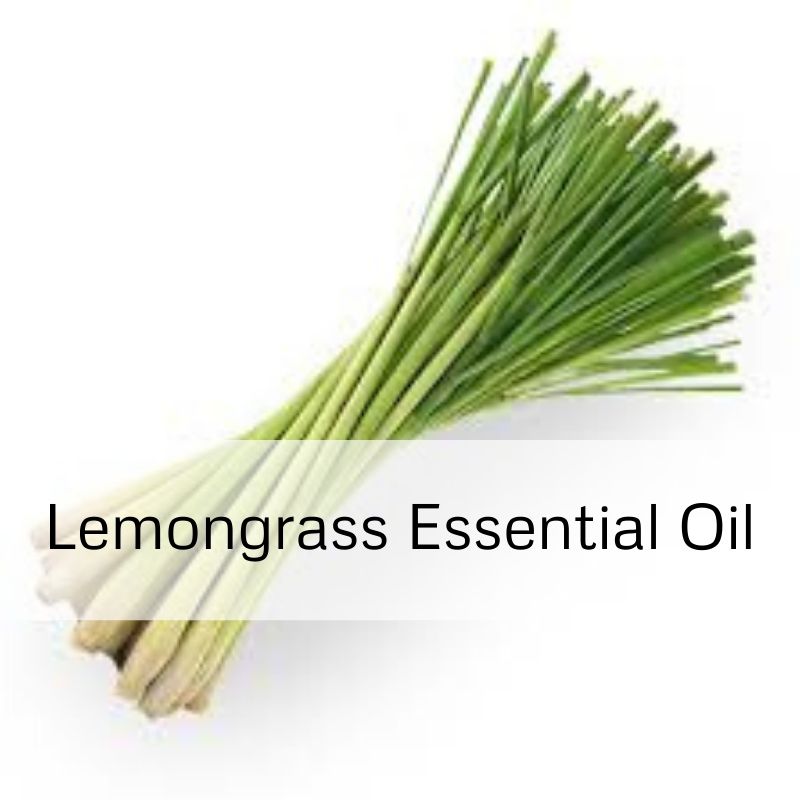 Lemongrass Essential Oil