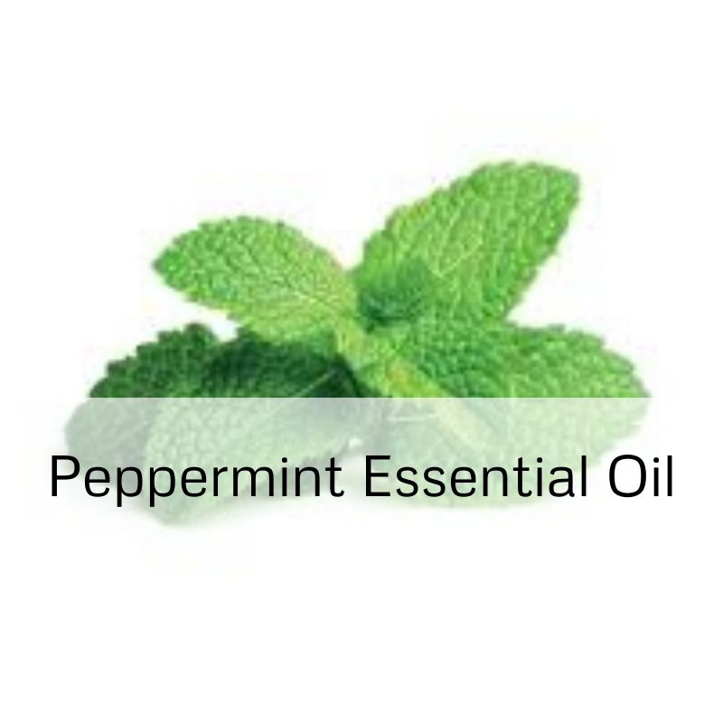 Peppermint Essential Oil