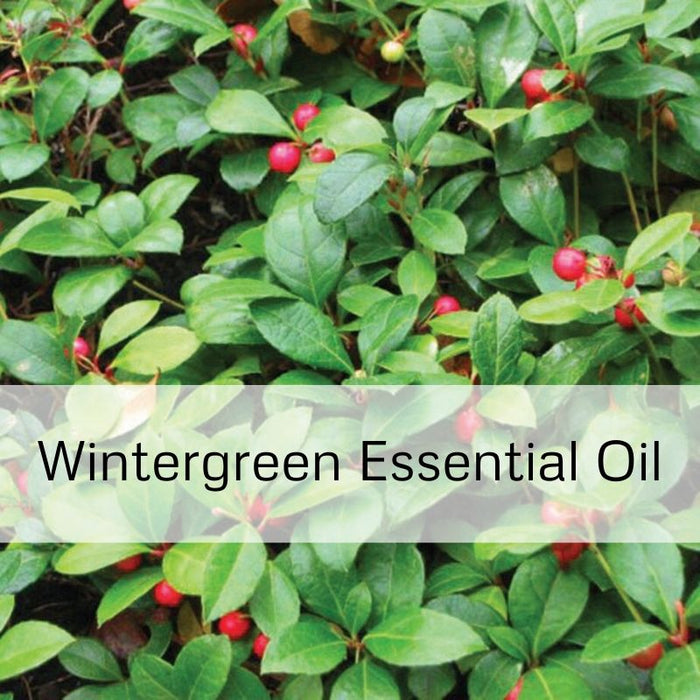 Wintergreen Essential Oil