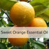 Sweet Orange Essential Oil